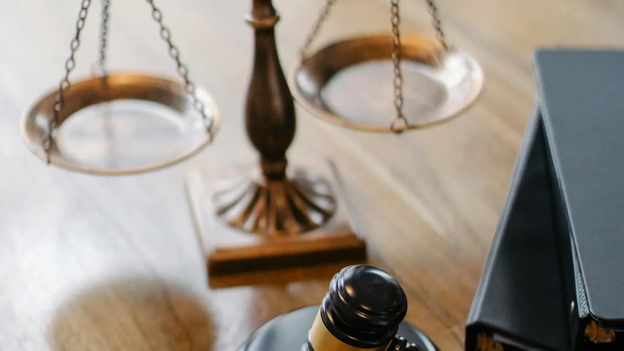 법률·전문서비스